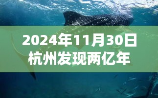 攀高结贵 第5页