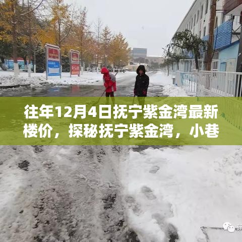 尽心尽力 第4页