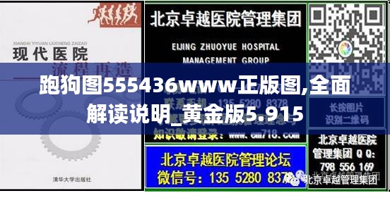 跑狗图555436www正版图,全面解读说明_黄金版5.915