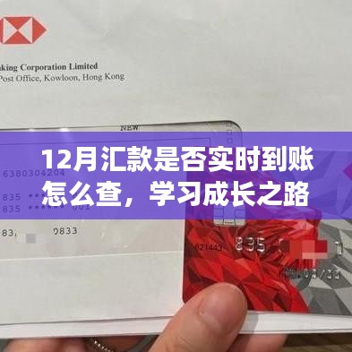 12月汇款是否实时到账怎么查，学习成长之路，掌握12月汇款的实时到账秘籍，开启自信与成就之旅
