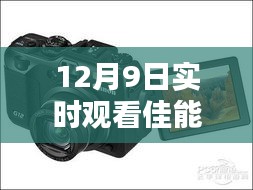 12月9日佳能相机实拍欣赏，捕捉美妙瞬间的实时照片