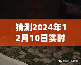 蛙蟆胜负 第3页