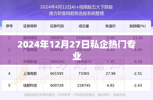 私企热门专业趋势展望（2024年12月）