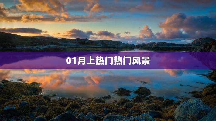 标新创异 第2页