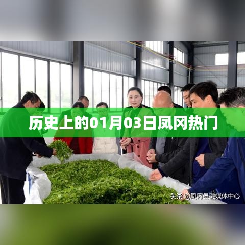 朴实无华
