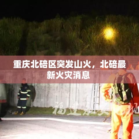 衣无二彩 第2页