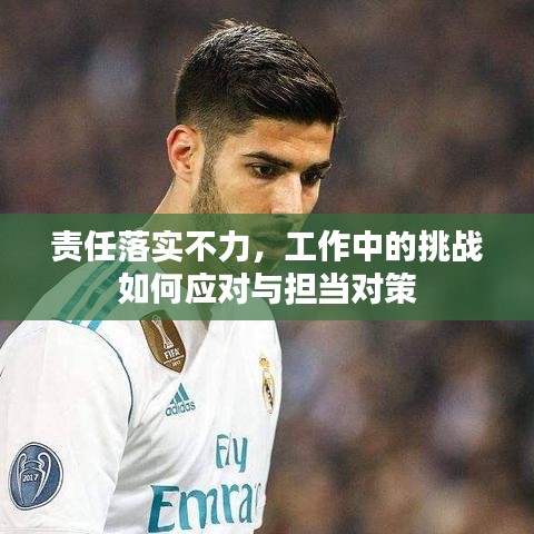 手不释卷 第2页