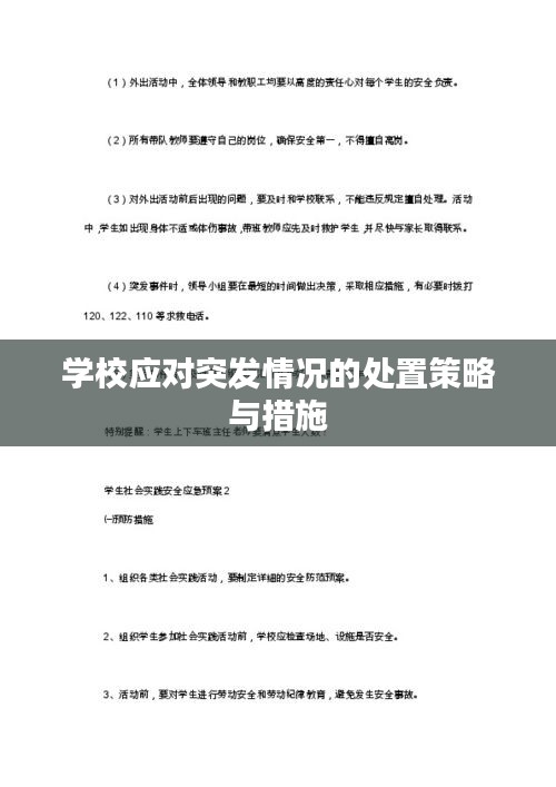 学校应对突发情况的处置策略与措施