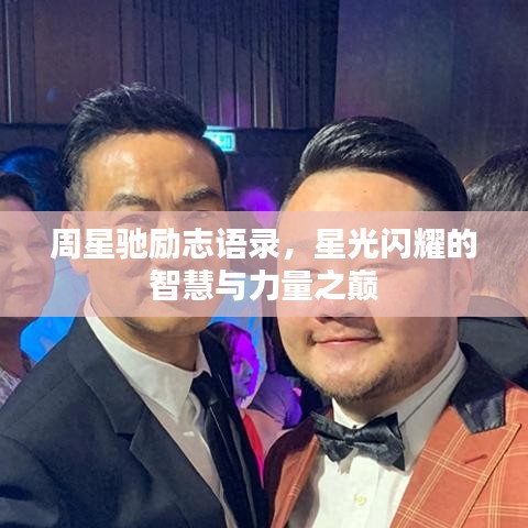 小鸟伊人