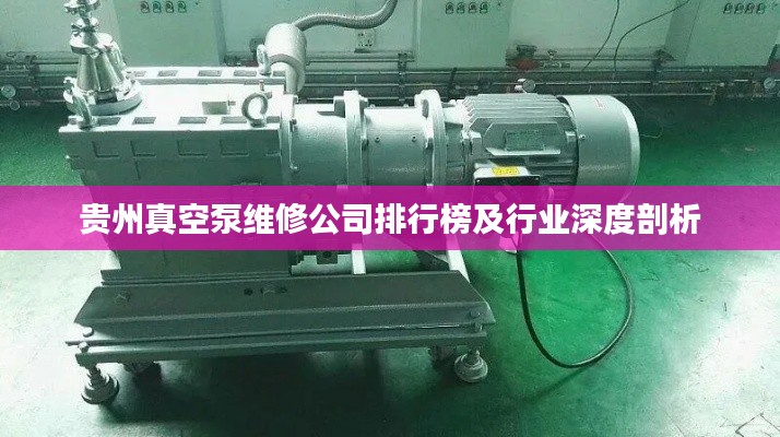 贵州真空泵维修公司排行榜及行业深度剖析