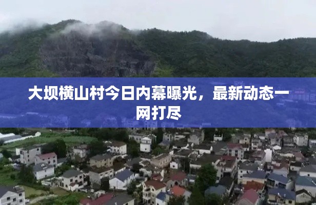 蛙鼓蝉鸣