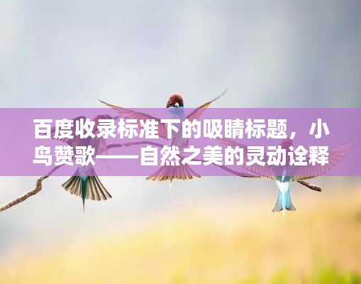 百度收录标准下的吸睛标题，小鸟赞歌——自然之美的灵动诠释