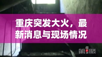 重庆突发大火，最新消息与现场情况全解析