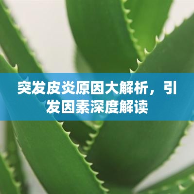 行疾如飞