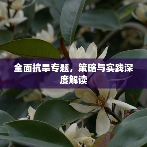 就楼磨刀