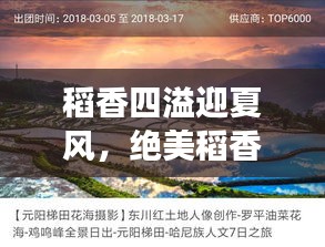 省吃细用