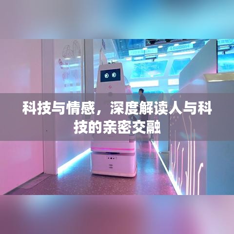 老死不相往来