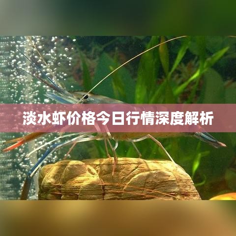 坚持不懈