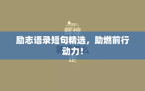 高抬贵手