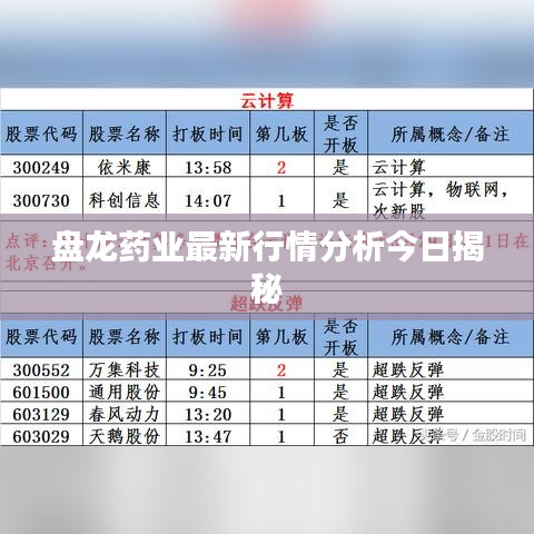 独一无二