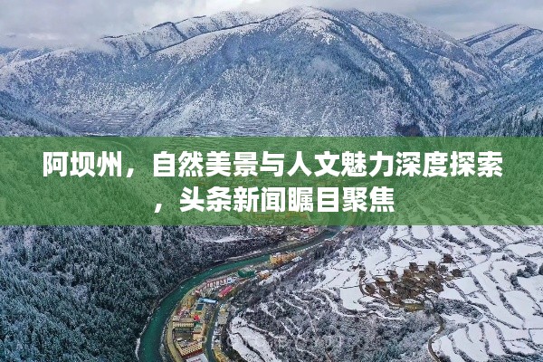 春蛙秋蝉
