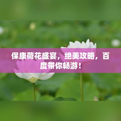 资料打印 第2页