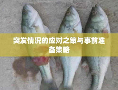 随方就圆