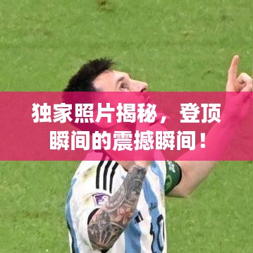 荣华富贵