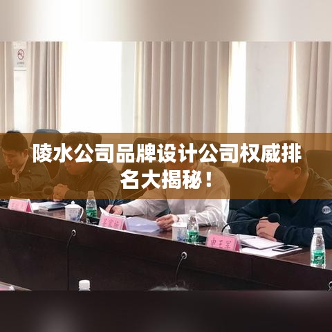 陵水公司品牌设计公司权威排名大揭秘！