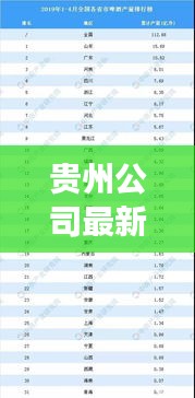 贵州公司最新排名重磅发布！
