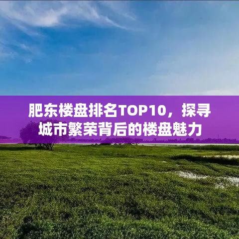 肥东楼盘排名TOP10，探寻城市繁荣背后的楼盘魅力