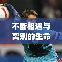 不断相遇与离别的生命旅程