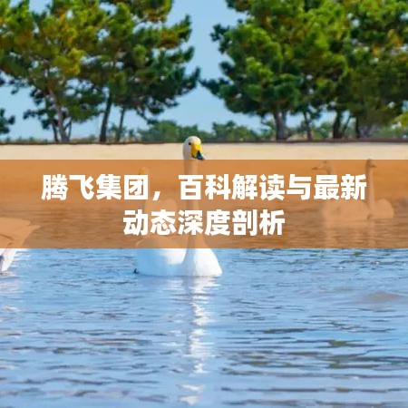 腾飞集团，百科解读与最新动态深度剖析