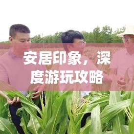 安居印象，深度游玩攻略